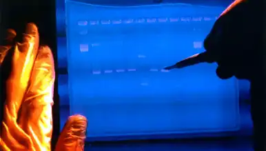 Laboratuvarda Yaşam: DNA Yeniden Kodlanıyor!