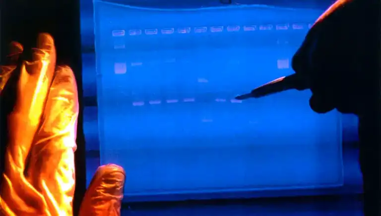 Laboratuvarda Yaşam: DNA Yeniden Kodlanıyor!